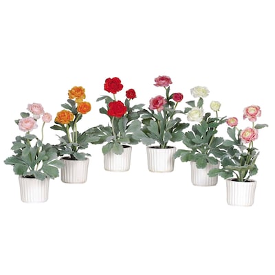 Nearly Natural 4601 Ranunculus Set of 6, Assorted