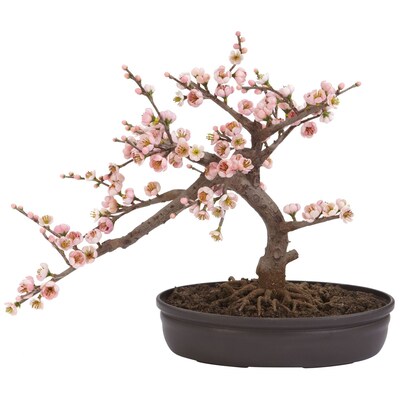 Nearly Natural 4764 Cherry Blossom Bonsai Tree in Pot