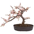 Nearly Natural 4764 Cherry Blossom Bonsai Tree in Pot