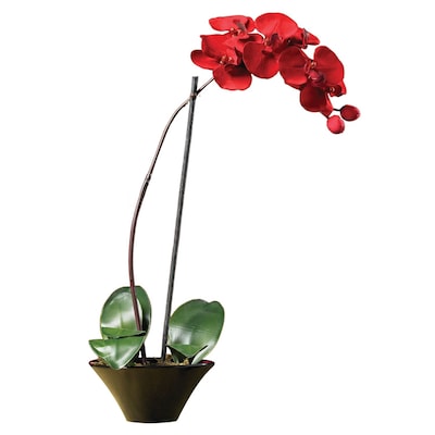 Nearly Natural 4859 Holiday Phalaenopsis Orchid Arrangements, Red