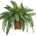 Nearly Natural 6549 Boston Fern Plant in Pot