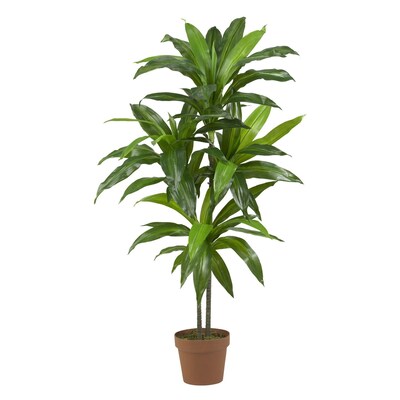 Nearly Natural 6585 48 Dracaena Plant in Pot