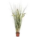 Nearly Natural 6647 Grass Plant in Pot
