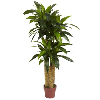 Nearly Natural 6648 4 Corn Stalk Plant in Pot