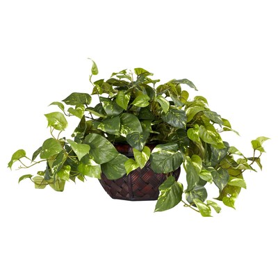 Nearly Natural 6681 Pothos Desk Top Plant in Decorative Vase