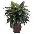 Nearly Natural 6688 Cordyline Floor Plant in Decorative Vase