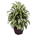 Nearly Natural 6693 Silver Queen Plant in Planter