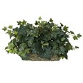 Nearly Natural 6707 Ivy Ledge Desk Top Plant in Pot