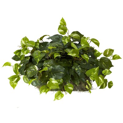 Nearly Natural 6708 Pothos Ledge Desk Top Plant