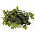 Nearly Natural 6713 Pothos Plant in White Wash Planter