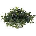 Nearly Natural 6715 Ivy Plant in White Wash Planter