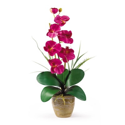 Nearly Natural 1016-BU Phalaenopsis Floral Arrangements, Beauty pink