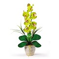 Nearly Natural 1016-GR Phalaenopsis Floral Arrangements, Green