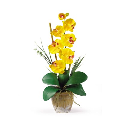 Nearly Natural 1016-GY Phalaenopsis Floral Arrangements, Yellow