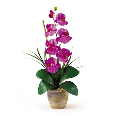 Nearly Natural 1016-OR Phalaenopsis Floral Arrangements, Orchid