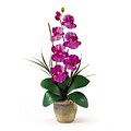 Nearly Natural 1016-OR Phalaenopsis Floral Arrangements, Orchid