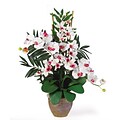Nearly Natural 1071-WW Phal Dendrobium Floral Arrangements, White