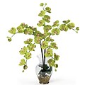 Nearly Natural 1106-GR Phalaenopsis Silk Floral Arrangements, Green