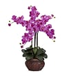Nearly Natural 1211-OR Phalaenopsis with Vase Floral Arrangements; Orchid
