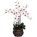 Nearly Natural 1211-WH Phalaenopsis with Vase Floral Arrangements, White