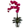 Nearly Natural 1323-BU Double Phal Arrangements, Beauty pink