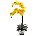 Nearly Natural 1323-YL Double Phal Arrangements, Yellow