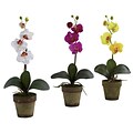 Nearly Natural 4065 Potted Phalaenopsis Set of 3, Assorted