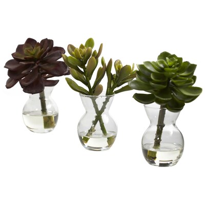 Nearly Natural 4954 Succulent Set of 3 Desk Top Plant in Decorative Vase