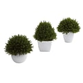 Nearly Natural 4977 Mixed Cedar Topiary Set of 3 Desk Top Plant in Decorative Vase