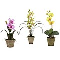 Nearly Natural 4985-A2-S3 Potted Orchid Mix Set of 3 Floral Arrangements, Assorted