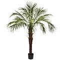 Nearly Natural 5366 6 Robellini Palm Tree in Pot