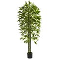 Nearly Natural 5386 6 Bamboo Tree in Pot