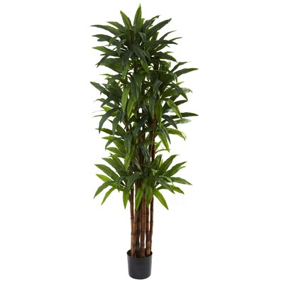 Nearly Natural 5403 Dracaena Tree in Pot