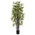 Nearly Natural 5418 5 Black Bamboo Tree in Pot