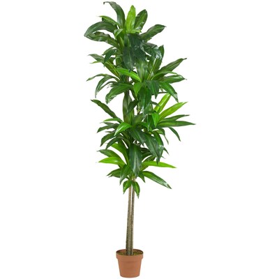 Nearly Natural 6596 Dracaena Silk Plant in Pot