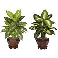 Nearly Natural 6712-AS-S2 Dieffenbachia Set of 2 Plant in Pot, Assorted