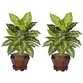 Nearly Natural 6712-VR-S2 Dieffenbachia Set of 2 Plant in Pot, Green