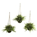 Nearly Natural 6741 Eucalyptus Maiden Hair Set of 3 Hanging Plant in Basket