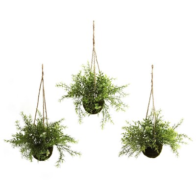 Nearly Natural 6742 Ruscus and Sedum Set of 3 Hanging Plant in Basket