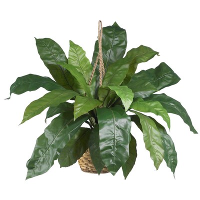 Nearly Natural 6775 Large Birds Nest Fern Hanging Plant in Basket