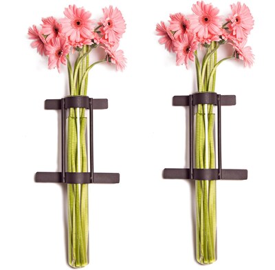 Danya B QB201-2 Set of 2 Wall Mount Cylinder Glass Vases with Rustic Rings Metal Stand