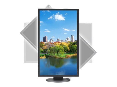NEC 1680 x 1050 EA223WM-BK 22 LED-LCD Desktop Monitor