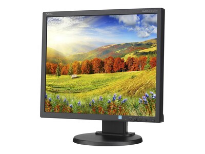 NEC® Display MultiSync EA 19 LCD LED Backlit Desktop Monitor With IPS Panel & Integrated Speakers