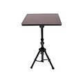 Pyleaudio® PLPTS4 Laptop Tripod Adjustable Note Book Stand, 28 to 46