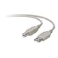 Belkin® 6' Hi-Speed USB 2.0 Cable; Black