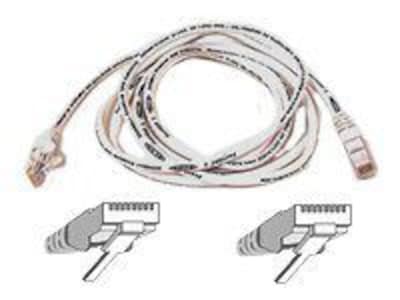 Belkin Cat.6 Patch Cable