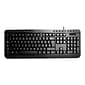 Adesso Multimedia Desktop Wired Keyboard, Black (AKB-132UB)