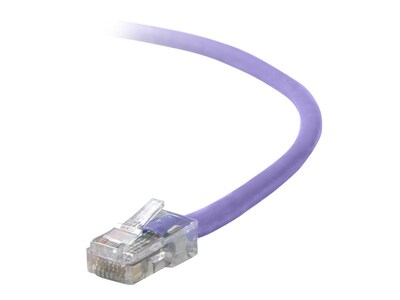 Belkin Cat5e Patch Cable65