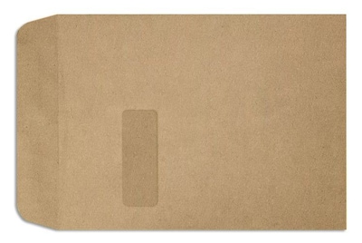 LUX Open End Self Seal Window Envelope, 9" x 12", Grocery Bag, 1000/Pack (1590-GB-1M)