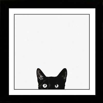 Diamond Decor "Curiosity" Framed Art Print Poster